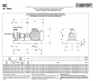 Одноступенчатые горизонтальные центробежные насосы Caprari NCHF 250-500 1450 Одноступенчатые горизонтальные центробежные насосы Caprari NCHF 250-500 1450