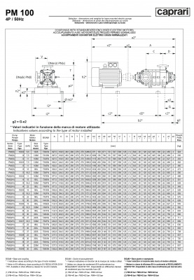 Горизонтальные многоступенчатые насосы высокого давления Caprari PM 100 2900 Горизонтальные многоступенчатые насосы высокого давления Caprari PM 100 2900