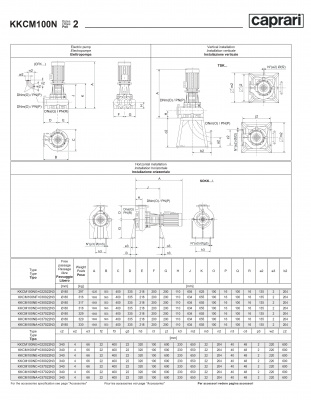 Сухая установка фекального насоса Caprari K-KOMPACT 2 DN 100 KKCM100N