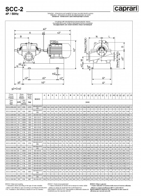 Горизонтальные насосы двустороннего входа Caprari SCC-2-250-600 1450 Горизонтальные насосы двустороннего входа Caprari SCC-2-250-600 1450