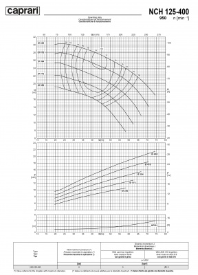 Одноступенчатые горизонтальные центробежные насосы Caprari NCH 125-400 950 Одноступенчатые горизонтальные центробежные насосы Caprari NCH 125-400 950