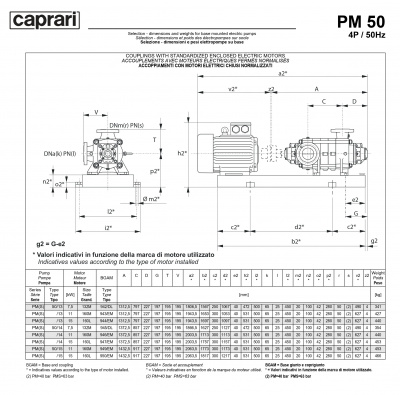 Горизонтальные многоступенчатые насосы высокого давления Caprari PM 50 3500 Горизонтальные многоступенчатые насосы высокого давления Caprari PM 50 3500