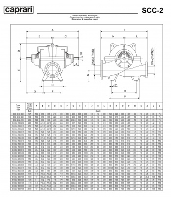 Горизонтальные насосы двустороннего входа Caprari SCC-2-80-250 1450 Горизонтальные насосы двустороннего входа Caprari SCC-2-80-250 1450