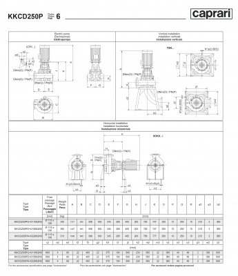 Сухая установка фекального насоса Caprari K-KOMPACT 6 DN 250 KKCD250P Сухая установка фекального насоса Caprari K-KOMPACT 6 DN 250 KKCD250P