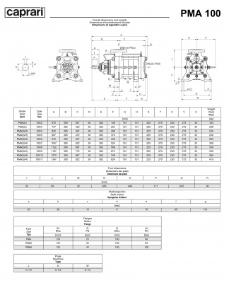 Горизонтальные многоступенчатые насосы высокого давления Caprari PMA 100H 3500 Горизонтальные многоступенчатые насосы высокого давления Caprari PMA 100H 3500