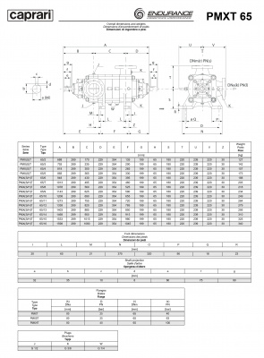 Горизонтальные секционные насосы высокого давления Caprari PMXT 65 2000 из нержавеющей стали Горизонтальные секционные насосы высокого давления Caprari PMXT 65 2000 из нержавеющей стали