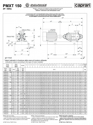 Горизонтальные секционные насосы высокого давления Caprari PMXLT 150 1450 из нержавеющей стали Горизонтальные секционные насосы высокого давления Caprari PMXLT 150 1450 из нержавеющей стали