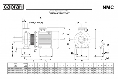Поверхностные одноступенчатые консольно-моноблочные насосы Caprari NMC 100 2P Поверхностные одноступенчатые консольно-моноблочные насосы Caprari NMC 100 2P