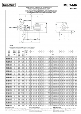 Горизонтальные многоступенчатые насосы Caprari MEC-MR 2900 Горизонтальные многоступенчатые насосы Caprari MEC-MR 2900