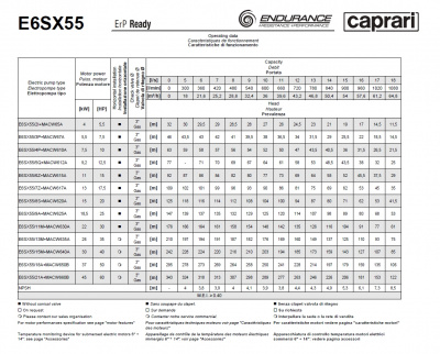 Скважинные насосы Caprari E6SX55 из нержавеющей стали Скважинные насосы Caprari E6SX55 из нержавеющей стали