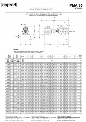 Горизонтальные многоступенчатые насосы высокого давления Caprari PMA 65 3500 Горизонтальные многоступенчатые насосы высокого давления Caprari PMA 65 3500