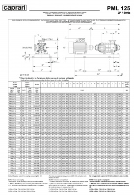 Горизонтальные многоступенчатые насосы высокого давления Caprari PML 125 2200 Горизонтальные многоступенчатые насосы высокого давления Caprari PML 125 2200