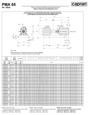 Горизонтальные многоступенчатые насосы высокого давления Caprari PMA 65 1750 Горизонтальные многоступенчатые насосы высокого давления Caprari PMA 65 1750