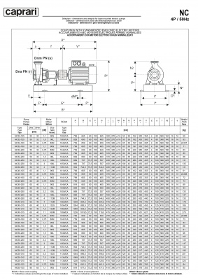 Одноступенчатые горизонтальные центробежные насосы Caprari NC 40-200 1450 Одноступенчатые горизонтальные центробежные насосы Caprari NC 40-200 1450