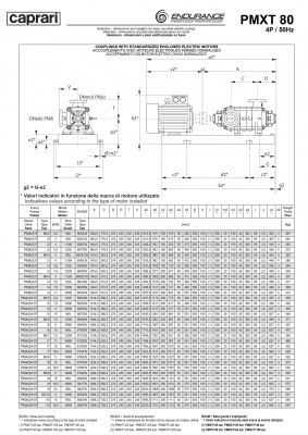 Горизонтальные секционные насосы высокого давления Caprari PMXT 80 1750 из нержавеющей стали Горизонтальные секционные насосы высокого давления Caprari PMXT 80 1750 из нержавеющей стали