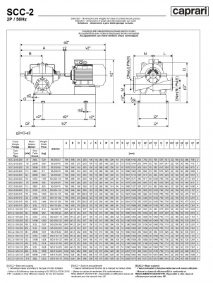 Горизонтальные насосы двустороннего входа Caprari SCC-2-65-250 2900 Горизонтальные насосы двустороннего входа Caprari SCC-2-65-250 2900