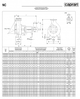 Одноступенчатые горизонтальные центробежные насосы Caprari NC 125-200 2900 Одноступенчатые горизонтальные центробежные насосы Caprari NC 125-200 2900