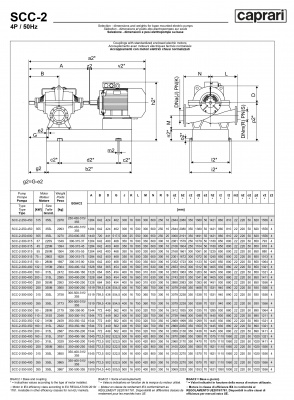 Горизонтальные насосы двустороннего входа Caprari SCC-2-250-450 1450 Горизонтальные насосы двустороннего входа Caprari SCC-2-250-450 1450