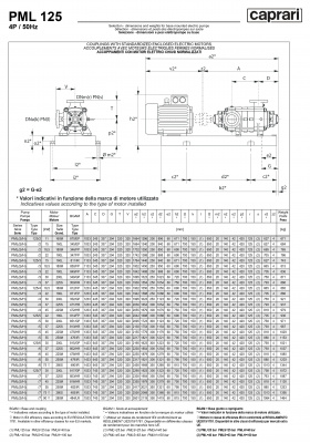 Горизонтальные многоступенчатые насосы высокого давления Caprari PML 125 2200 Горизонтальные многоступенчатые насосы высокого давления Caprari PML 125 2200