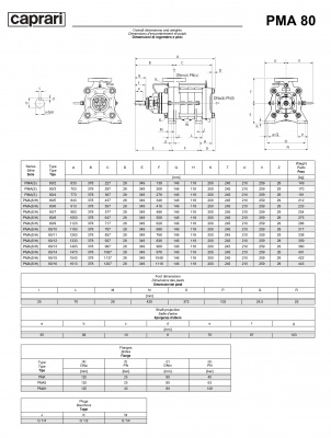 Горизонтальные многоступенчатые насосы высокого давления Caprari PMA 80 3500 Горизонтальные многоступенчатые насосы высокого давления Caprari PMA 80 3500