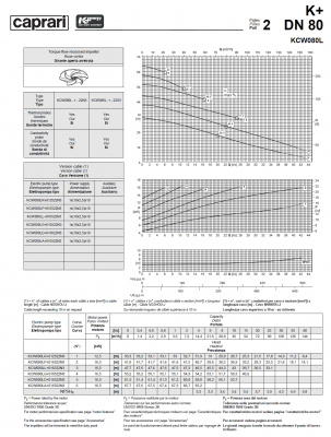 Погружные канализационные элктронасосы Caprari KCW080L Погружные канализационные элктронасосы Caprari KCW080L