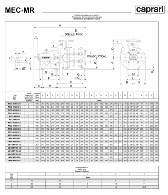 Горизонтальные многоступенчатые насосы Caprari MEC-MR 2200 Горизонтальные многоступенчатые насосы Caprari MEC-MR 2200