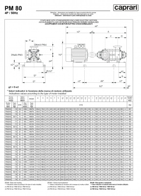 Горизонтальные многоступенчатые насосы высокого давления Caprari PM 80 2200 Горизонтальные многоступенчатые насосы высокого давления Caprari PM 80 2200