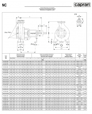 Одноступенчатые горизонтальные центробежные насосы Caprari NC 125-315 1450 Одноступенчатые горизонтальные центробежные насосы Caprari NC 125-315 1450