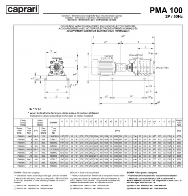 Горизонтальные многоступенчатые насосы высокого давления Caprari PMA 100 1450 Горизонтальные многоступенчатые насосы высокого давления Caprari PMA 100 1450