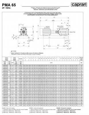 Горизонтальные многоступенчатые насосы высокого давления Caprari PMA 65 1450 Горизонтальные многоступенчатые насосы высокого давления Caprari PMA 65 1450