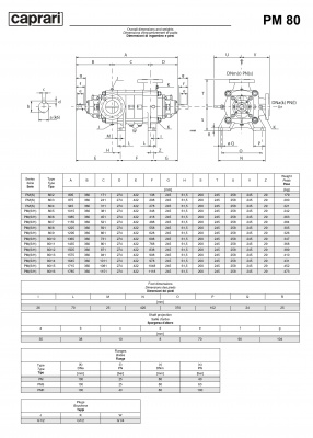 Горизонтальные многоступенчатые насосы высокого давления Caprari PM 80 2900 Горизонтальные многоступенчатые насосы высокого давления Caprari PM 80 2900