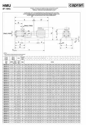 Горизонтальные секционные насосы высокого давления Caprari NMU 3500 Горизонтальные секционные насосы высокого давления Caprari NMU 3500
