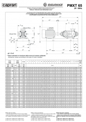 Горизонтальные секционные насосы высокого давления Caprari PMXT 65 1750 из нержавеющей стали Горизонтальные секционные насосы высокого давления Caprari PMXT 65 1750 из нержавеющей стали