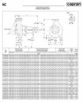 Одноступенчатые горизонтальные центробежные насосы Caprari NC 150-315 1450 Одноступенчатые горизонтальные центробежные насосы Caprari NC 150-315 1450