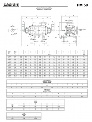 Горизонтальные многоступенчатые насосы высокого давления Caprari PM 50 1450 Горизонтальные многоступенчатые насосы высокого давления Caprari PM 50 1450