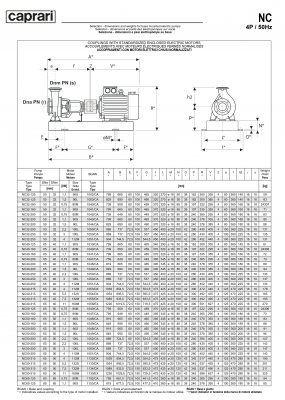 Одноступенчатые горизонтальные центробежные насосы Caprari NC 50-200 2900