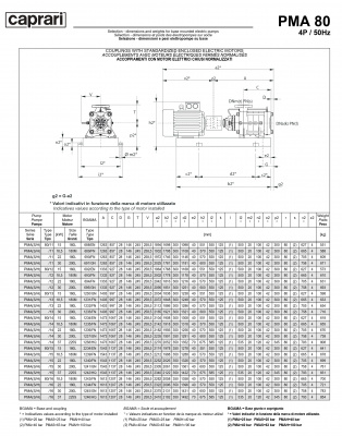 Горизонтальные многоступенчатые насосы высокого давления Caprari PMA 80 2900 Горизонтальные многоступенчатые насосы высокого давления Caprari PMA 80 2900