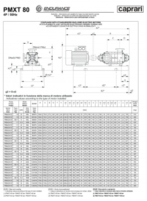 Горизонтальные секционные насосы высокого давления Caprari PMXT 80 3500 из нержавеющей стали