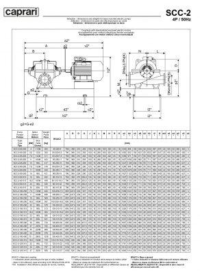 Горизонтальные насосы двустороннего входа Caprari SCC-2-125-315 1450 Горизонтальные насосы двустороннего входа Caprari SCC-2-125-315 1450