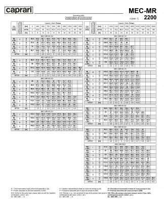 Горизонтальные многоступенчатые насосы Caprari MEC-MR 2200 Горизонтальные многоступенчатые насосы Caprari MEC-MR 2200