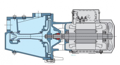 Поверхностный самовсасывающий одноступенчатый насос Calpeda BNGM 5/22E