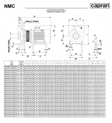 Поверхностные одноступенчатые консольно-моноблочные насосы Caprari NMC 125 4P
