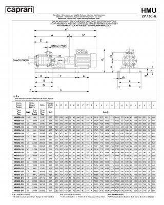 Горизонтальные секционные насосы высокого давления Caprari NMU 1450 Горизонтальные секционные насосы высокого давления Caprari NMU 1450