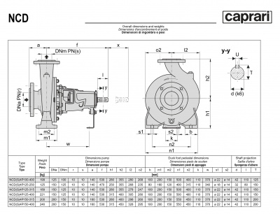Одноступенчатые горизонтальные центробежные насосы Caprari NCDS 4P125-400 1750 Одноступенчатые горизонтальные центробежные насосы Caprari NCDS 4P125-400 1750