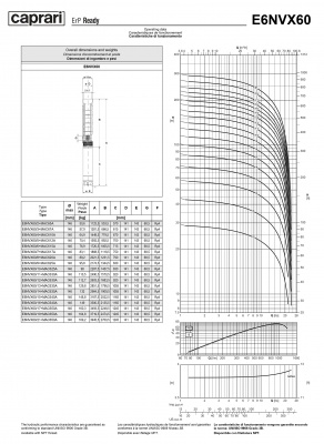Скважинные насосы Caprari E6NVX60 из нержавеющей стали Скважинные насосы Caprari E6NVX60 из нержавеющей стали