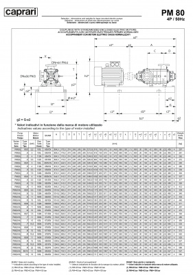 Горизонтальные многоступенчатые насосы высокого давления Caprari PM 80 1450 Горизонтальные многоступенчатые насосы высокого давления Caprari PM 80 1450
