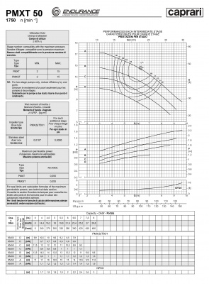 Горизонтальные секционные насосы высокого давления Caprari PMXT 50 1750 из нержавеющей стали Горизонтальные секционные насосы высокого давления Caprari PMXT 50 1750 из нержавеющей стали