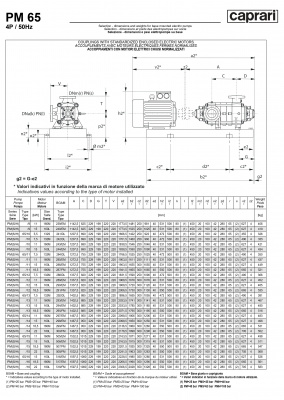 Горизонтальные многоступенчатые насосы высокого давления Caprari PM 65 3500 Горизонтальные многоступенчатые насосы высокого давления Caprari PM 65 3500