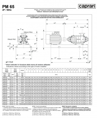Горизонтальные многоступенчатые насосы высокого давления Caprari PM 65 2900 Горизонтальные многоступенчатые насосы высокого давления Caprari PM 65 2900