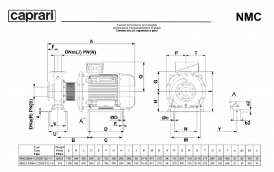 Поверхностные одноступенчатые консольно-моноблочные насосы Caprari NMC 100 2P Поверхностные одноступенчатые консольно-моноблочные насосы Caprari NMC 100 2P